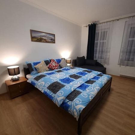Apartman V Krusnych Horach-Free Parking Jáchymov Dış mekan fotoğraf