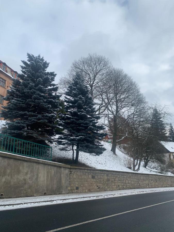 Apartman V Krusnych Horach-Free Parking Jáchymov Dış mekan fotoğraf