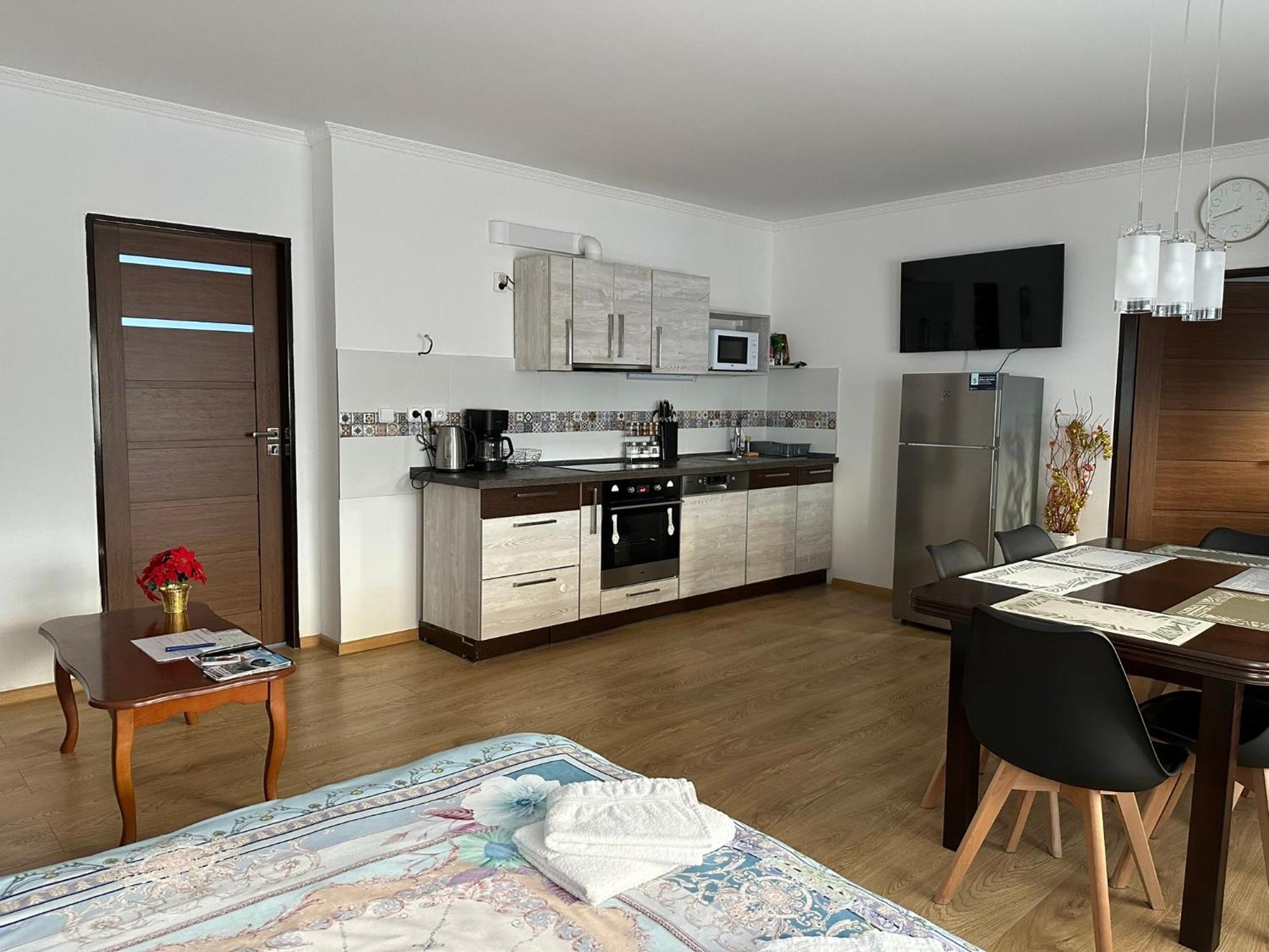 Apartman V Krusnych Horach-Free Parking Jáchymov Dış mekan fotoğraf